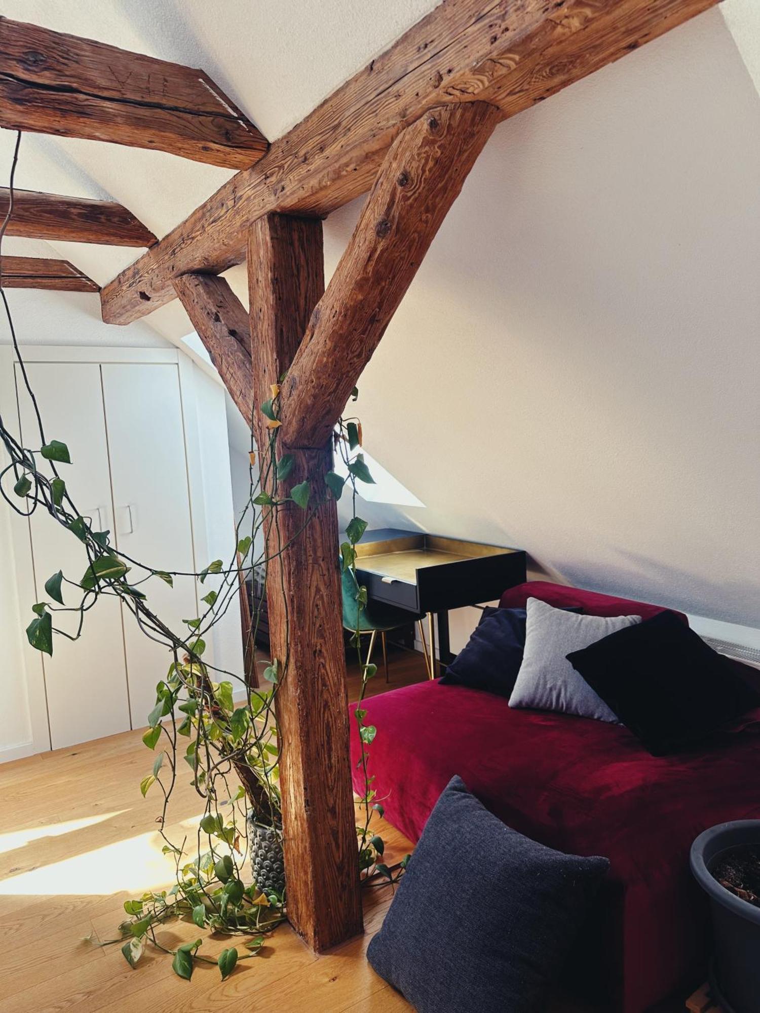 Wunderschoene Loftwohnung Mit Dachterrasse Appartement Schwäbisch Hall